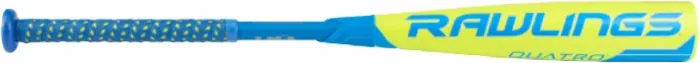Bat image
