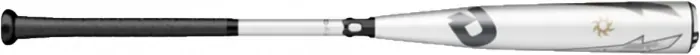 Bat image