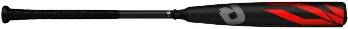 Bat image