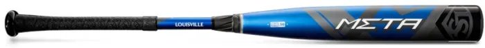 Bat image