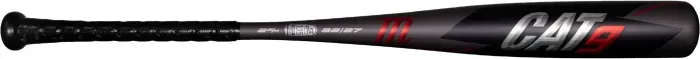 Bat image