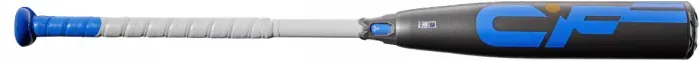 Bat image