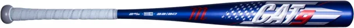 Bat image