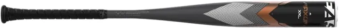 Bat image