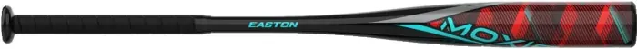 Bat image