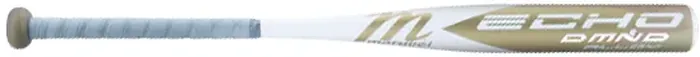 Bat image