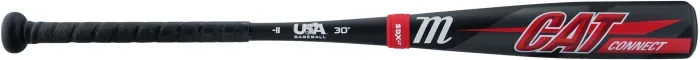 Bat image