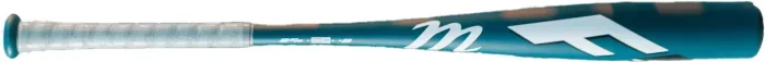 Bat image