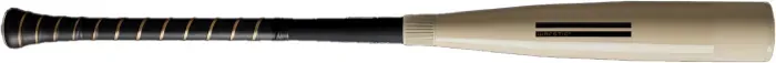 Bat image