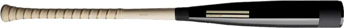 Bat image